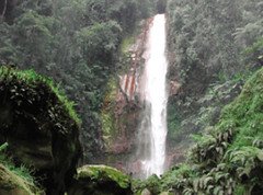 Tempat Wisata Bogor