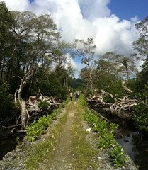 Pulau Banyak