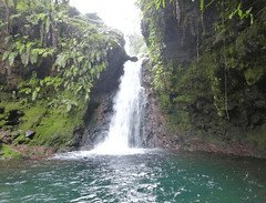 Tempat Wisata Bogor