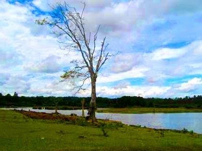 Danau Aek Natonang