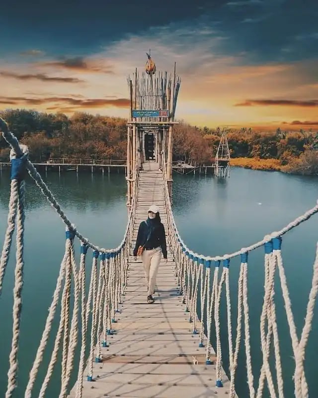 Jembatan Api-Api Hutan Mangrove Jogja - foto instagram hanarizkas