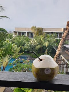 Petualangan Seru di Bali dan Nusa Penida dan Tips Liburan Praktis Petualangan Seru di Bali dan Nusa Penida dan Tips Liburan Praktis