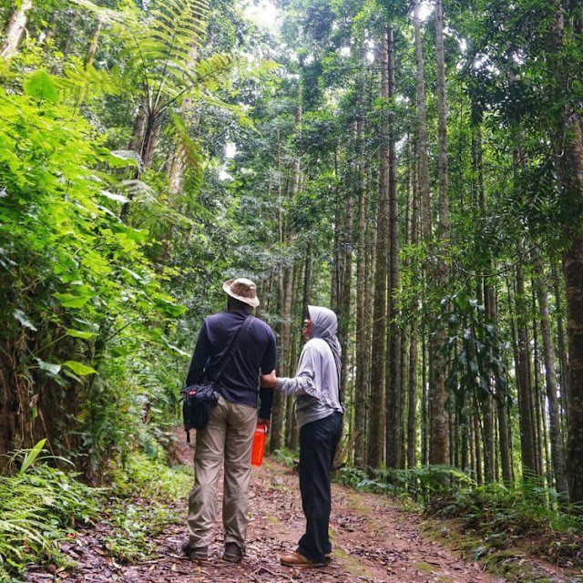 pusat konservasi elang jawa