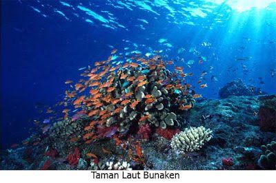 Taman Laut Bunaken