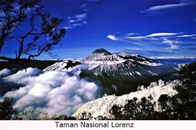 Taman Nasional Lorenz