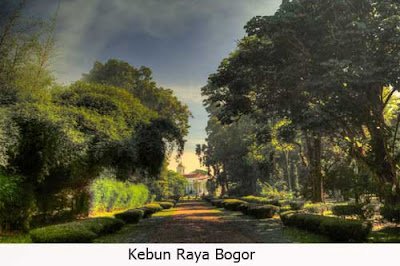 Kebun Raya Bogor