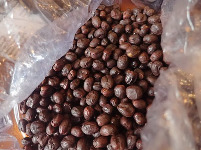 buah kopi gunung puntang