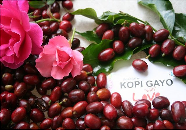 Kopi Gayo