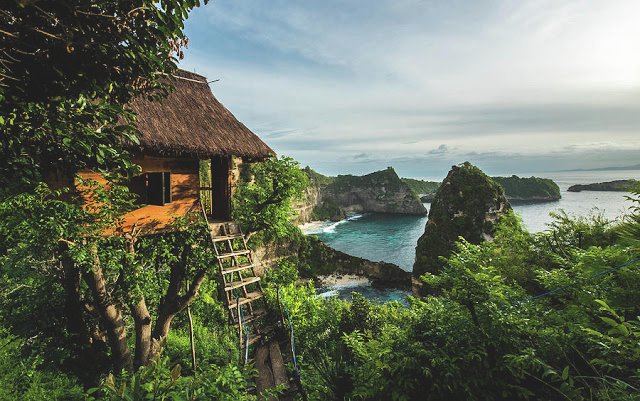 Nusa Penida Tree House