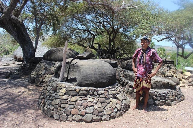 Pulau Sabu Nusa Tenggara Timur