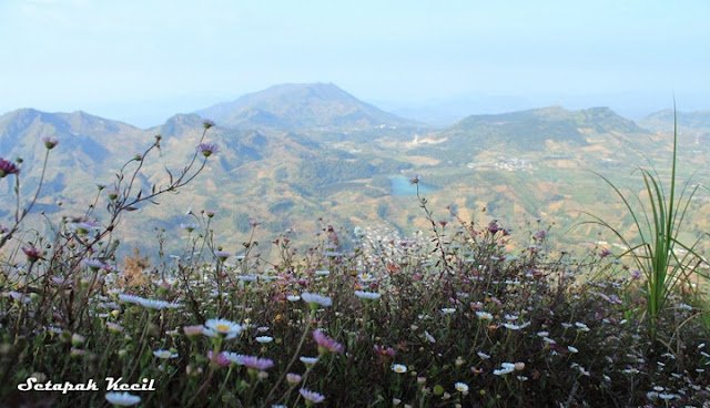 Gunung Prau Dieng