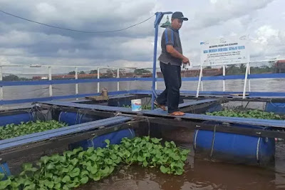 keramba-ikan-nila-gang-durian